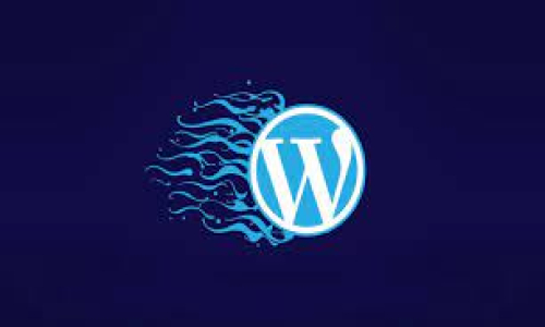 WordPress Site Hızlandırma Y...