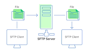 SFTP Nedir ve Nasıl Kullanıl...