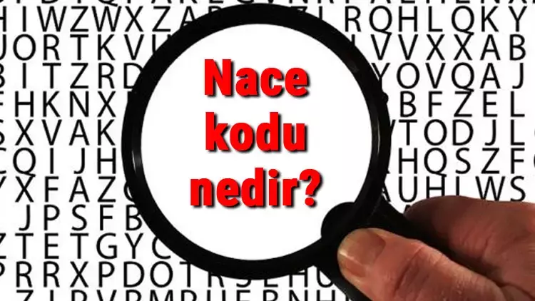 NACE Kodu Nedir ve Ne İşe Ya...